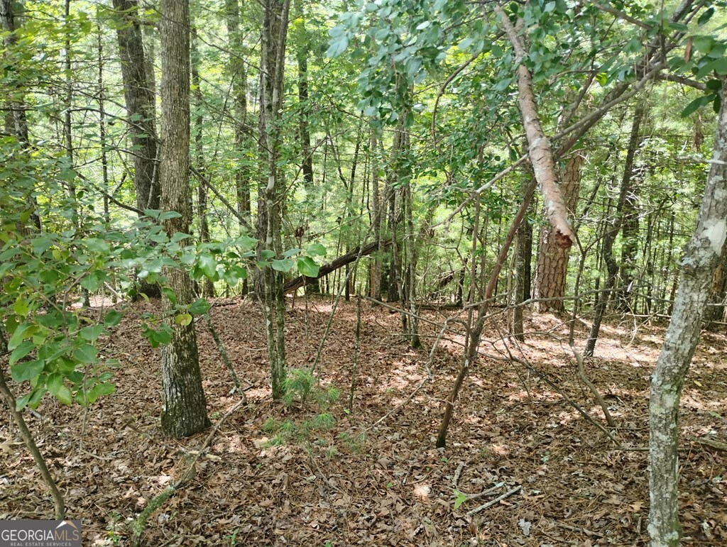 0 Crystal Lane Ellijay GA 30540