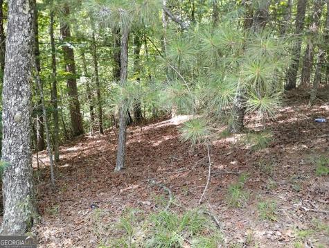 0 Crystal Lane Ellijay GA 30540