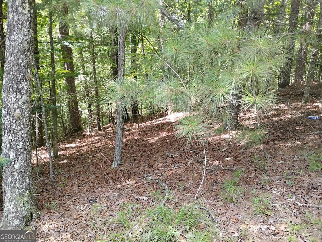 0 Crystal Lane Ellijay GA 30540