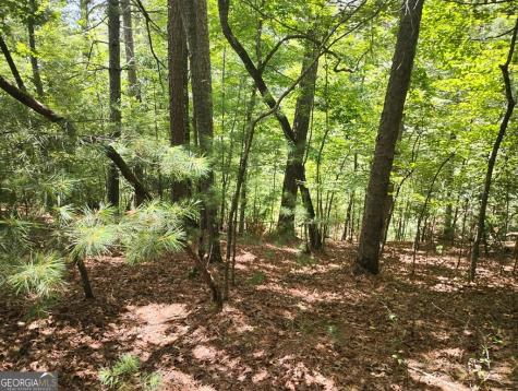 0 Crystal Lane Ellijay GA 30540