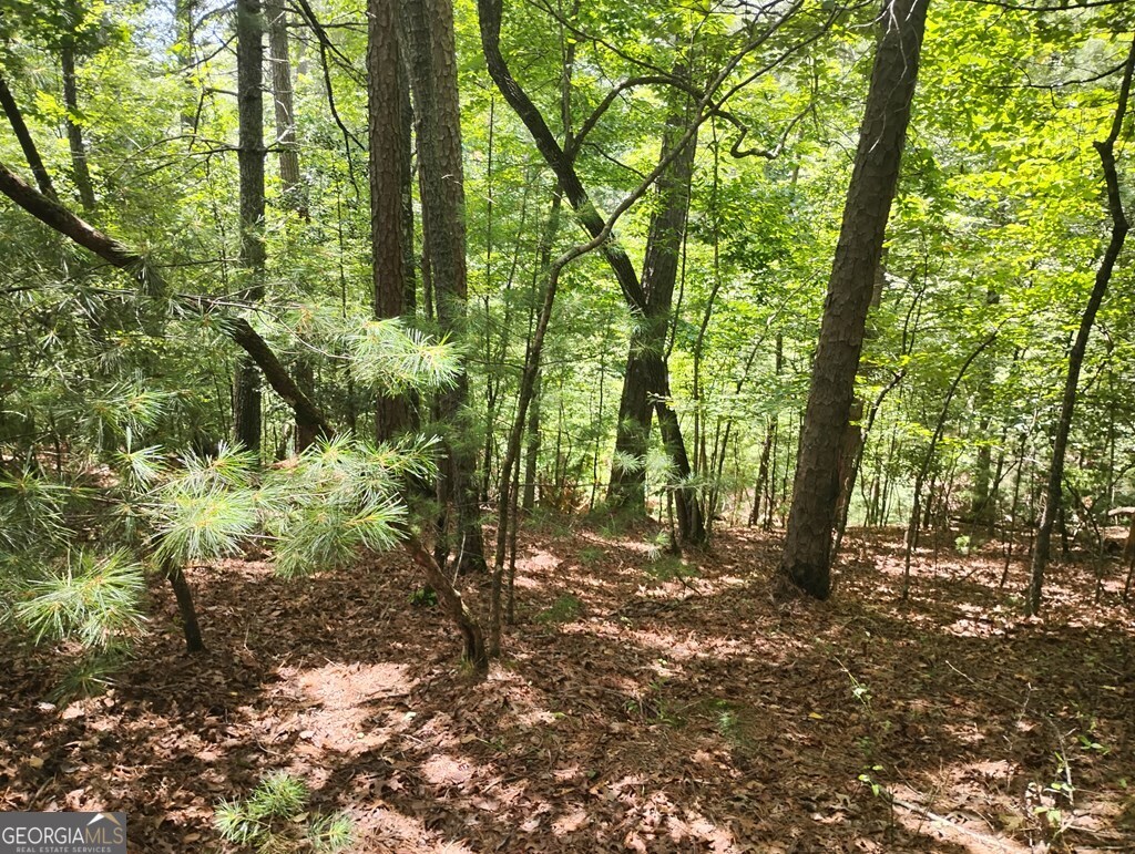 0 Crystal Lane Ellijay GA 30540