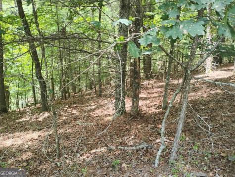 0 Crystal Lane Ellijay GA 30540
