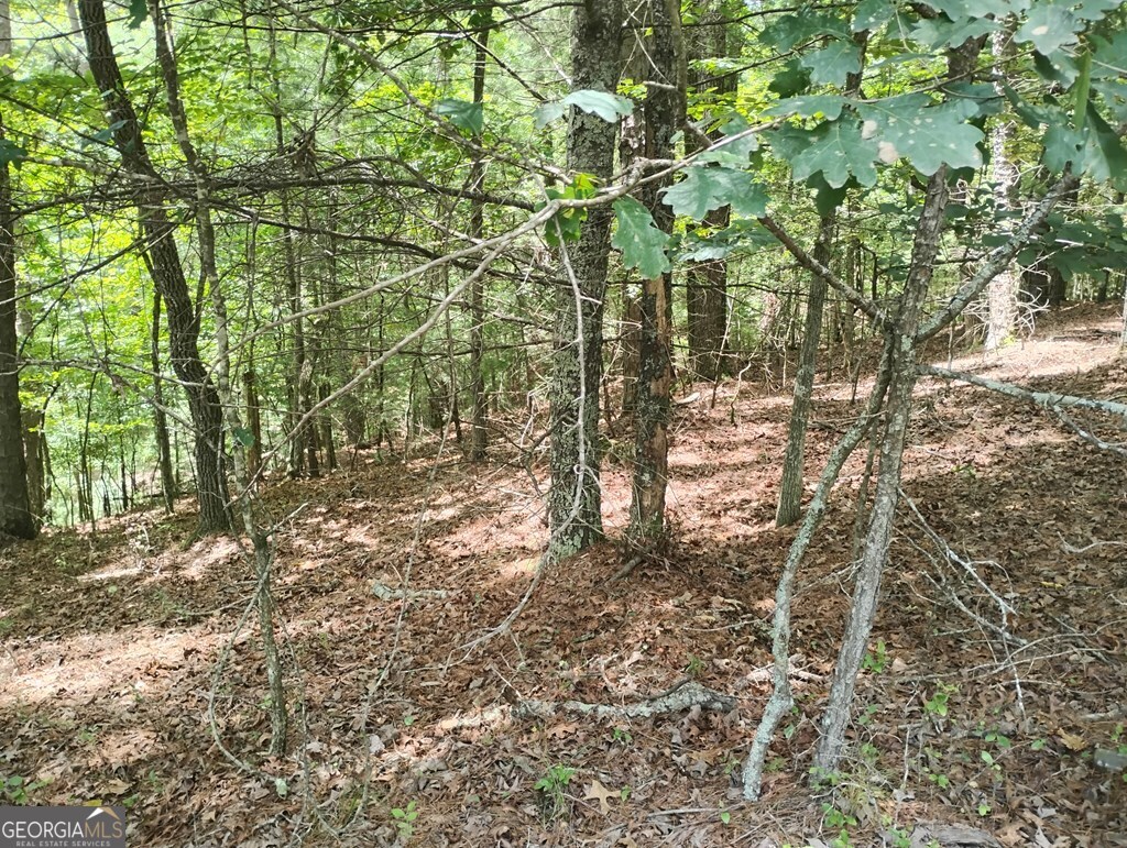 0 Crystal Lane Ellijay GA 30540