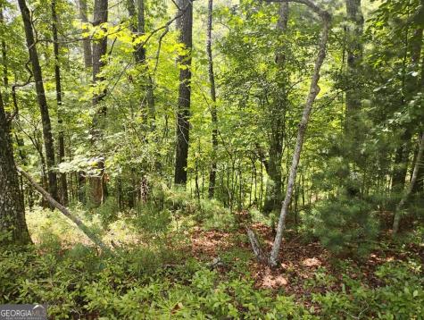 0 Crystal Lane Ellijay GA 30540