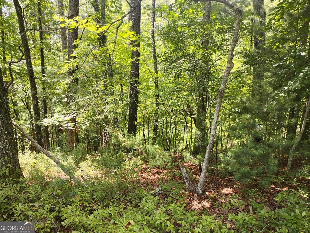 0 Crystal Lane Ellijay GA 30540