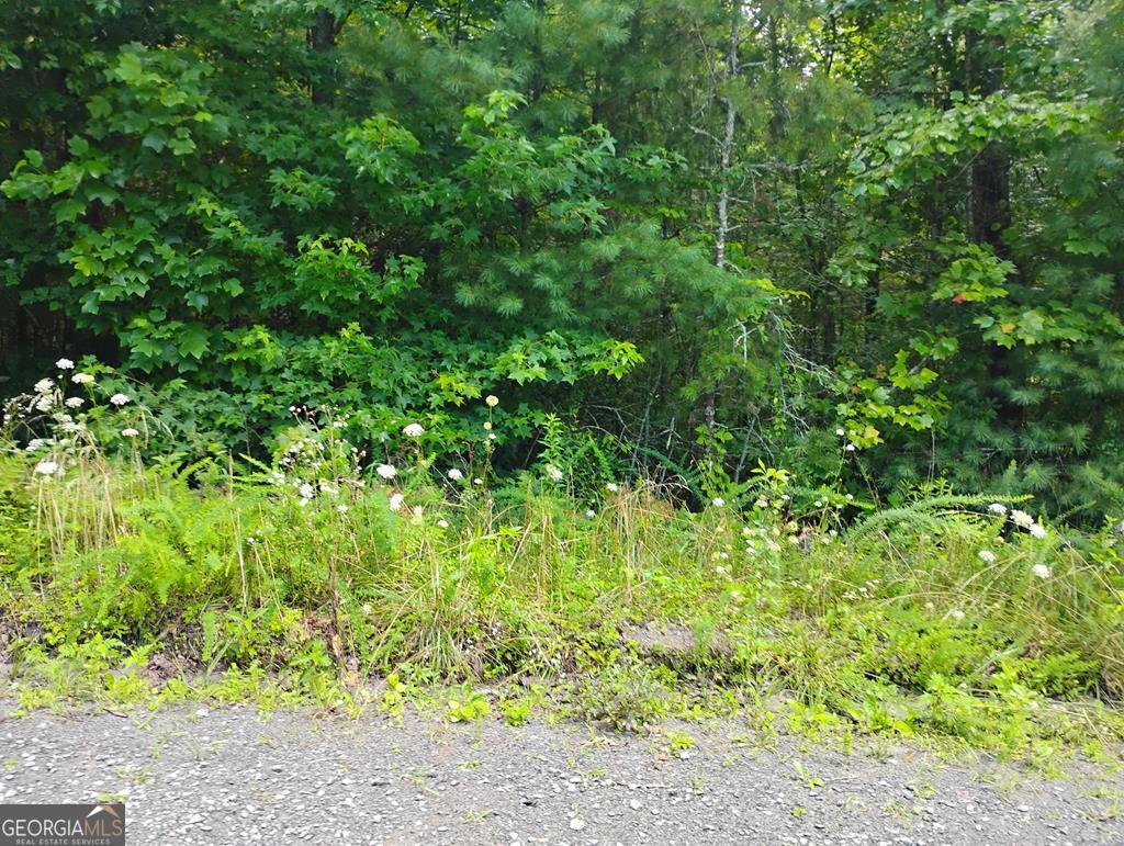 0 Crystal Lane Ellijay GA 30540