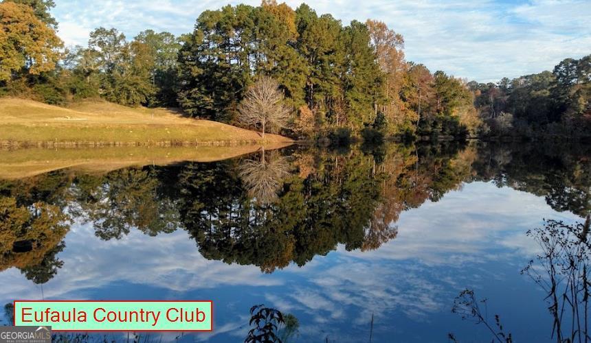1 Jenny Lynn Lane Fort Gaines GA 39851