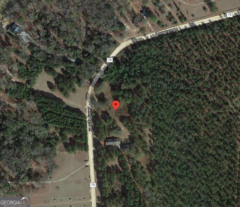 1 Jenny Lynn Lane Fort Gaines GA 39851