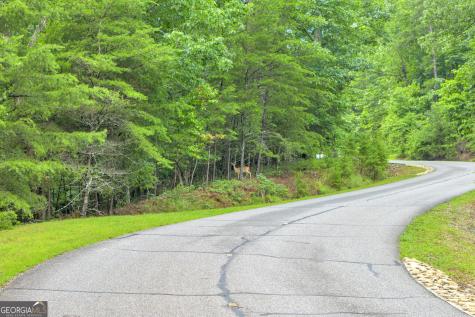 98 Sharp Mountain Parkway Jasper GA 30143