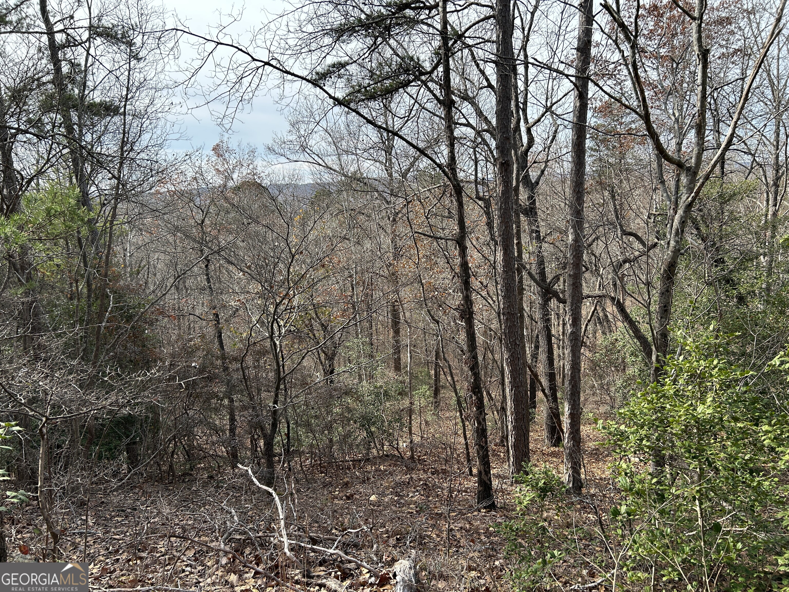 0 Highway 105 Baldwin GA 30511
