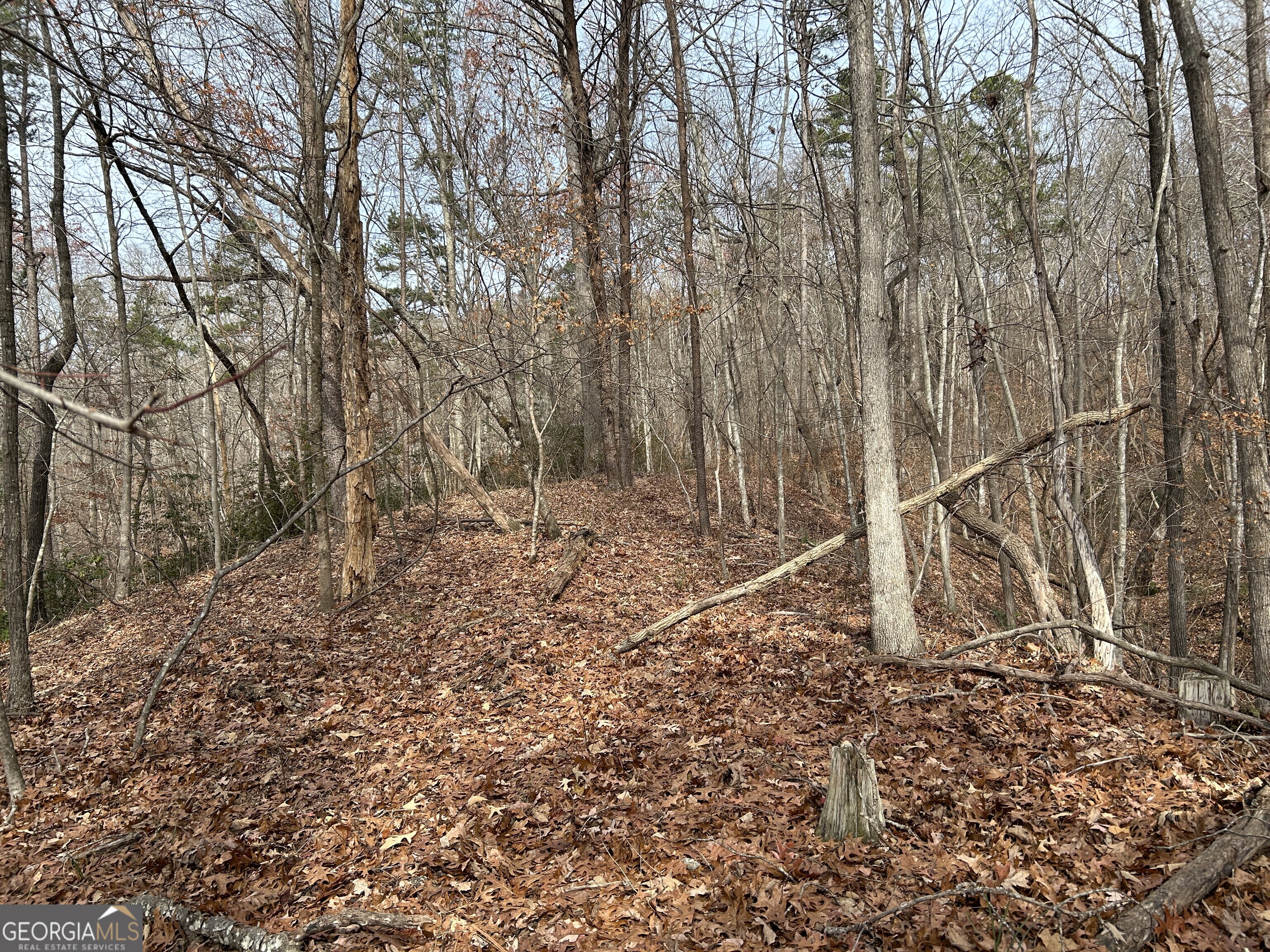 0 Highway 105 Baldwin GA 30511