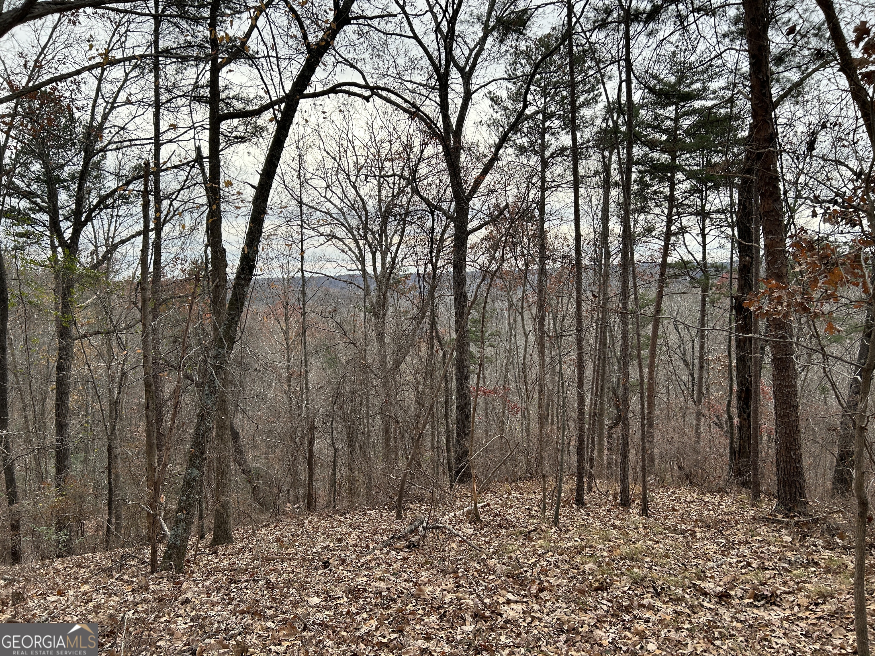 0 Highway 105 Baldwin GA 30511