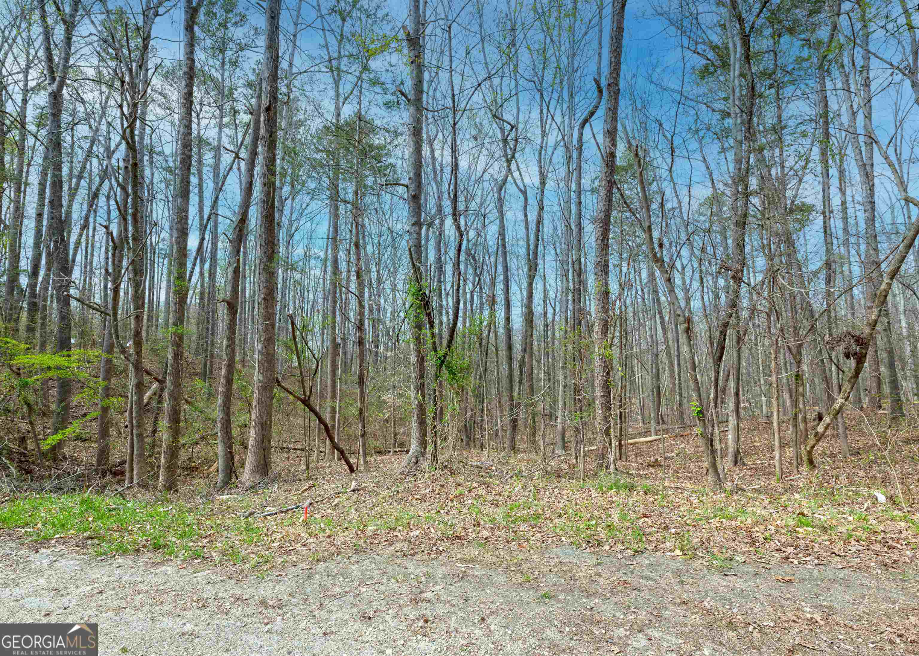 0 Lake View Drive Lavonia GA 30553