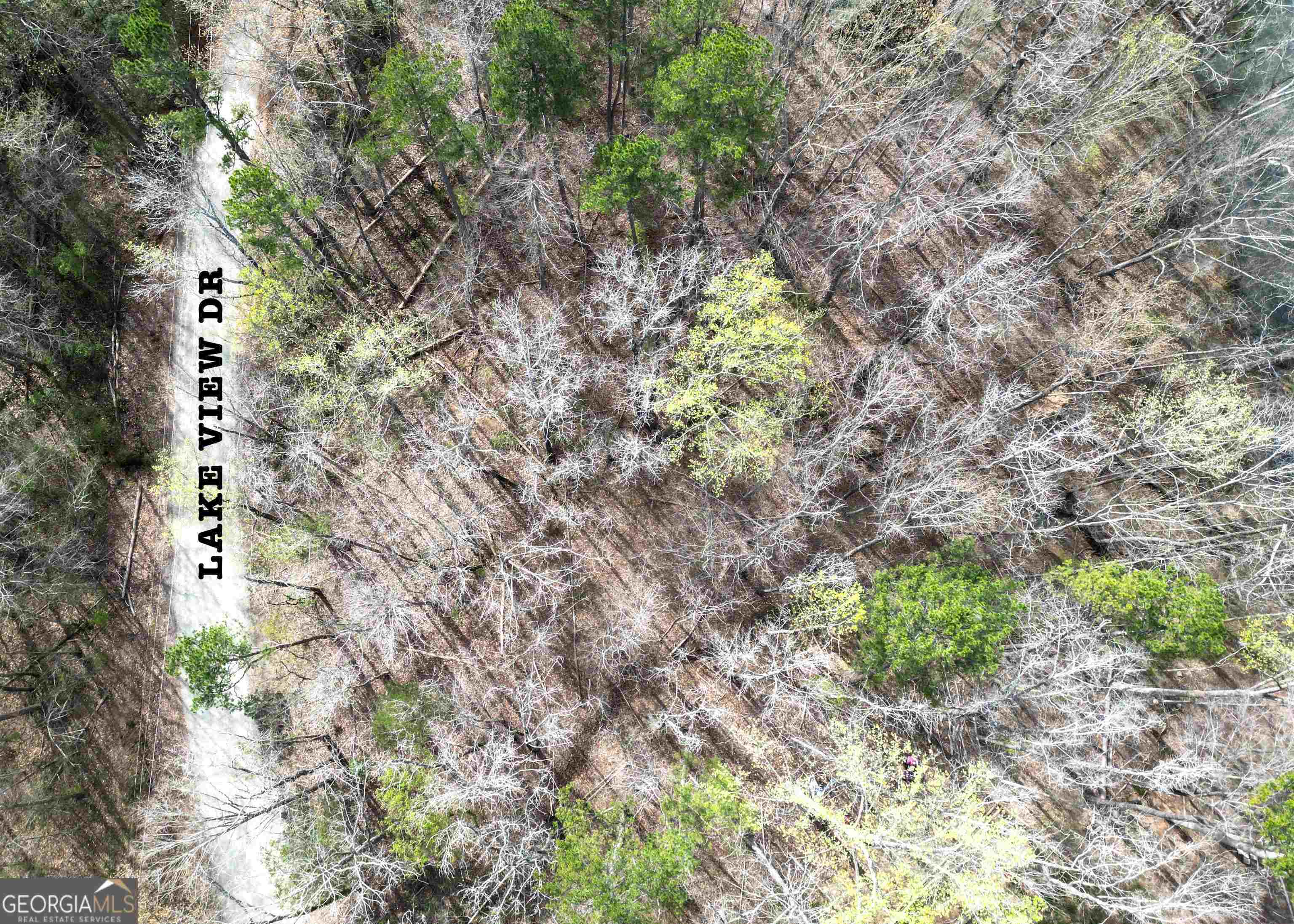 0 Lake View Drive Lavonia GA 30553