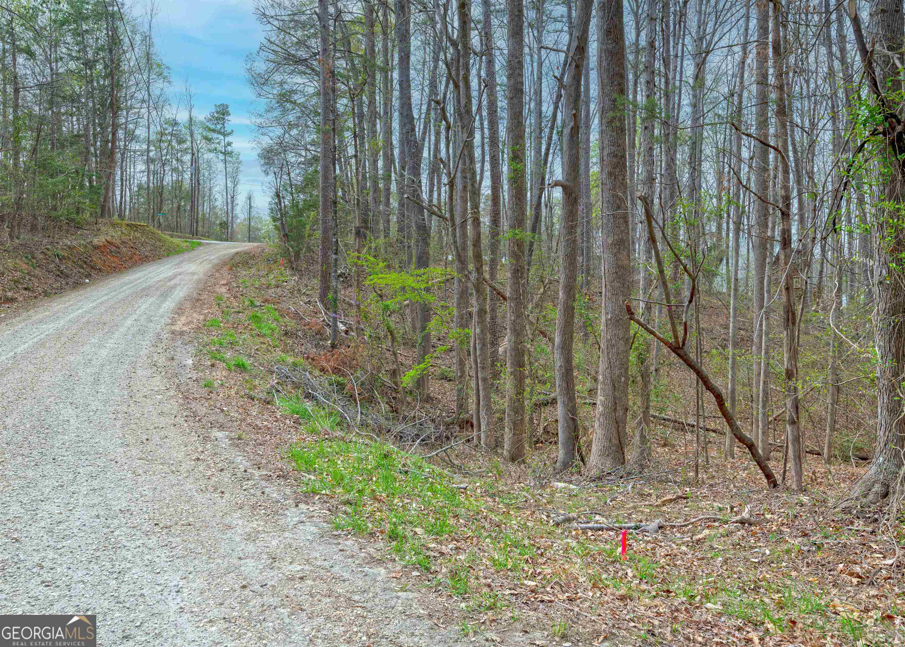 0 Lake View Drive Lavonia GA 30553