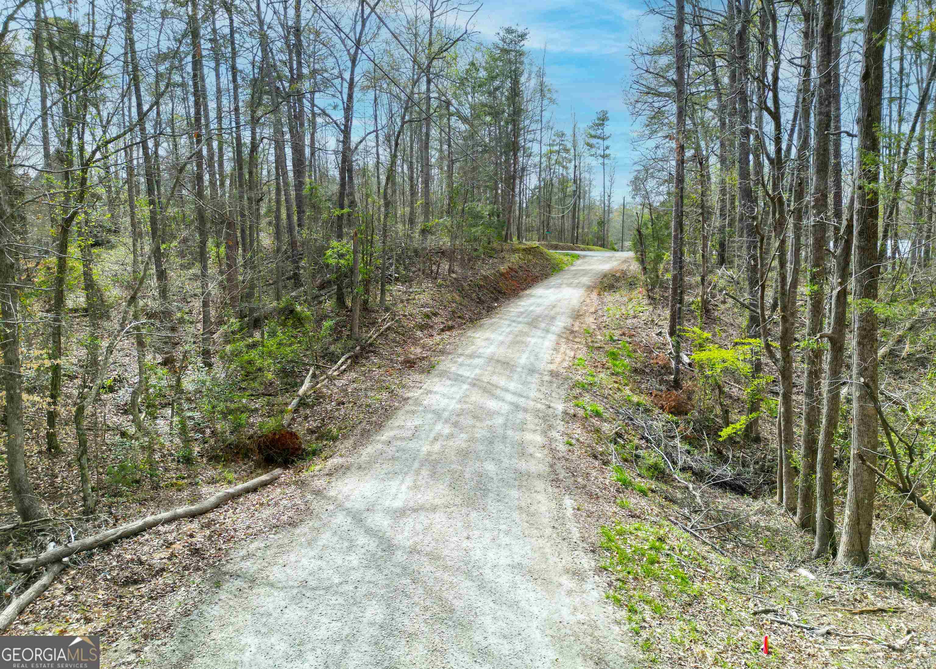 0 Lake View Drive Lavonia GA 30553