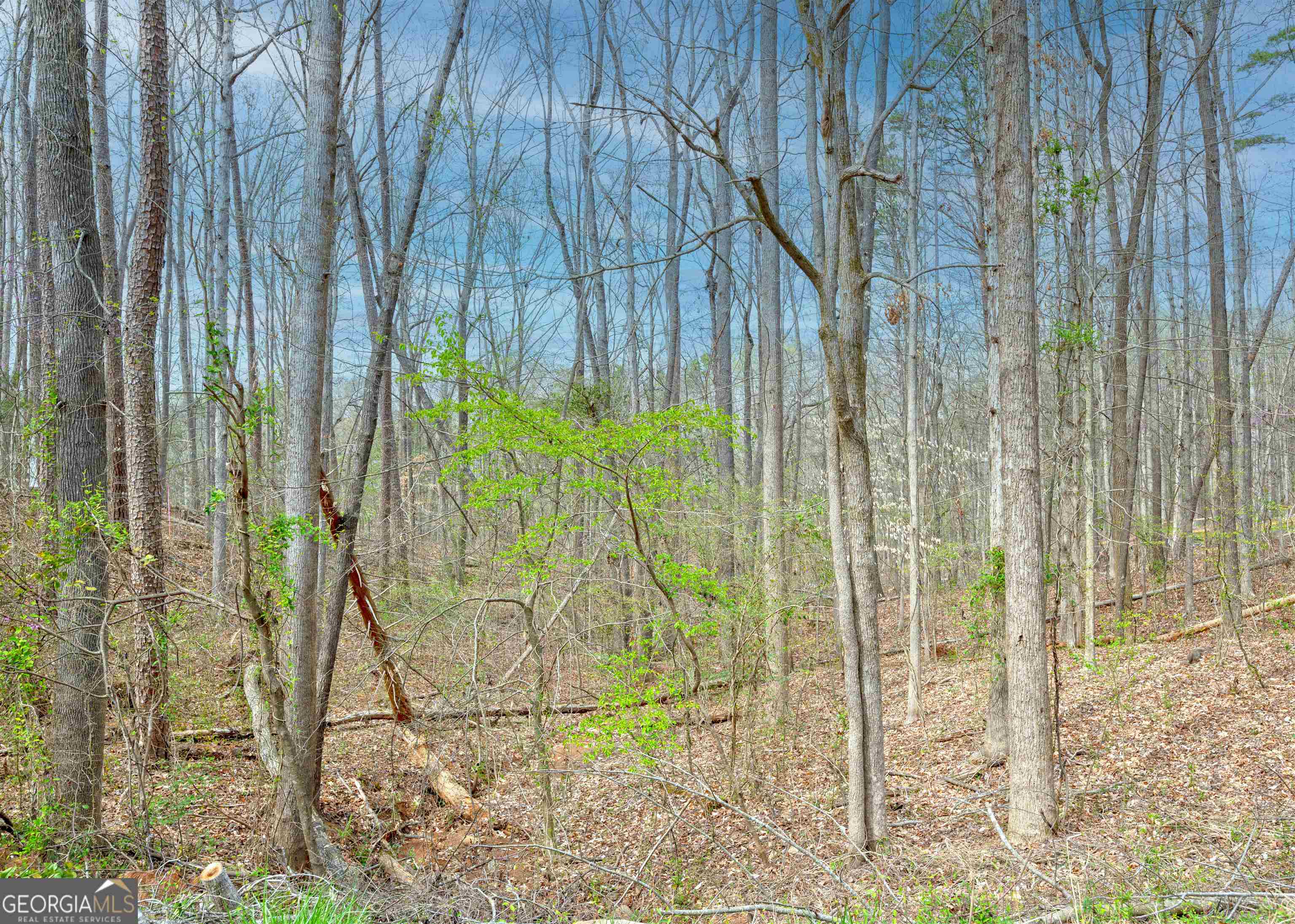0 Lake View Drive Lavonia GA 30553
