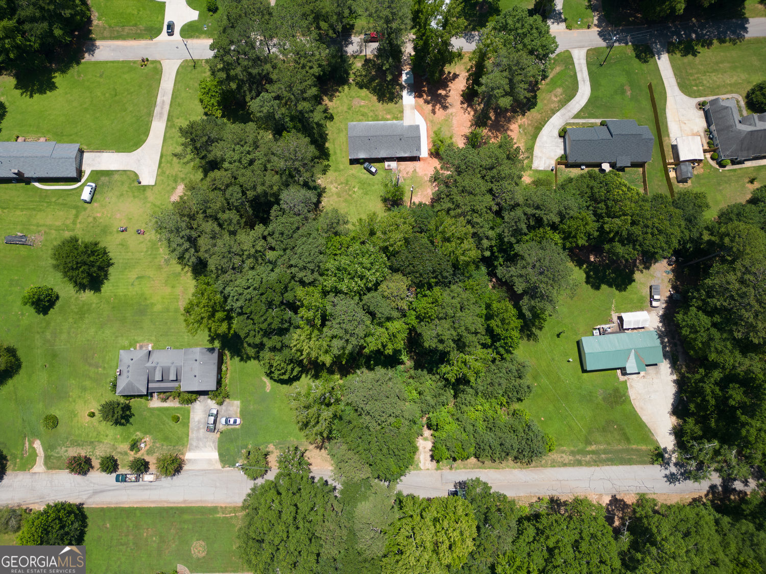 10161 N Dinah Circle Covington GA 30014