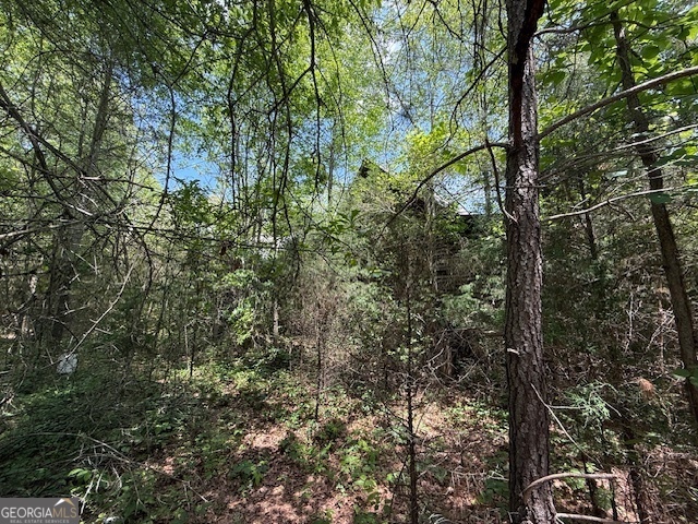 6343 Highway 198 Carnesville GA 30521