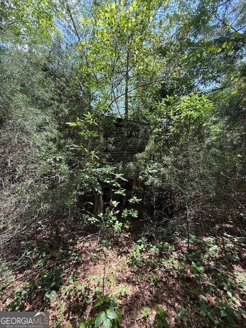 6343 Highway 198 Carnesville GA 30521