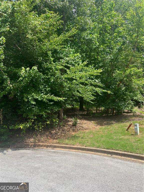 1894 Point River Drive Duluth GA 30097