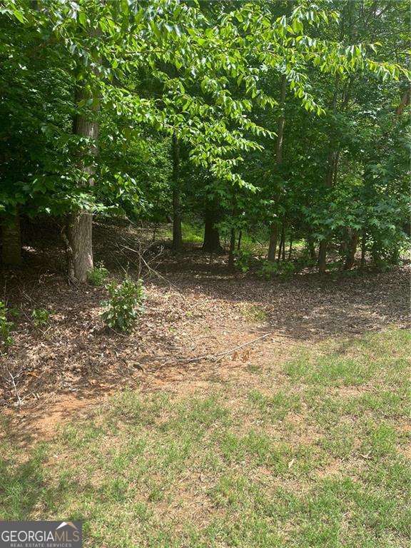 1894 Point River Drive Duluth GA 30097