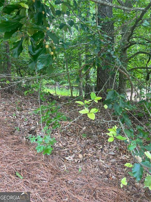 1894 Point River Drive Duluth GA 30097