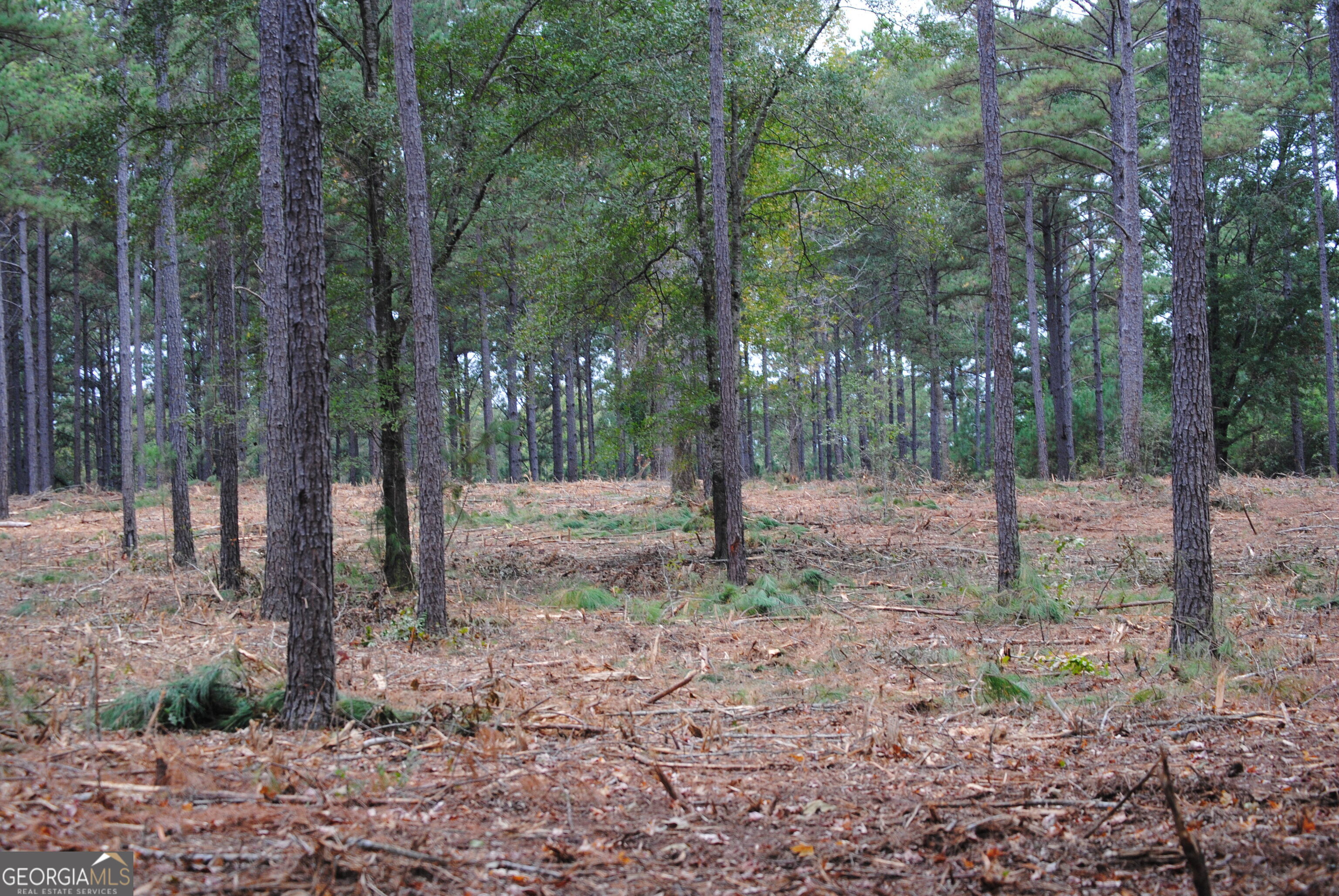 137 W Drummond West Point GA 31833