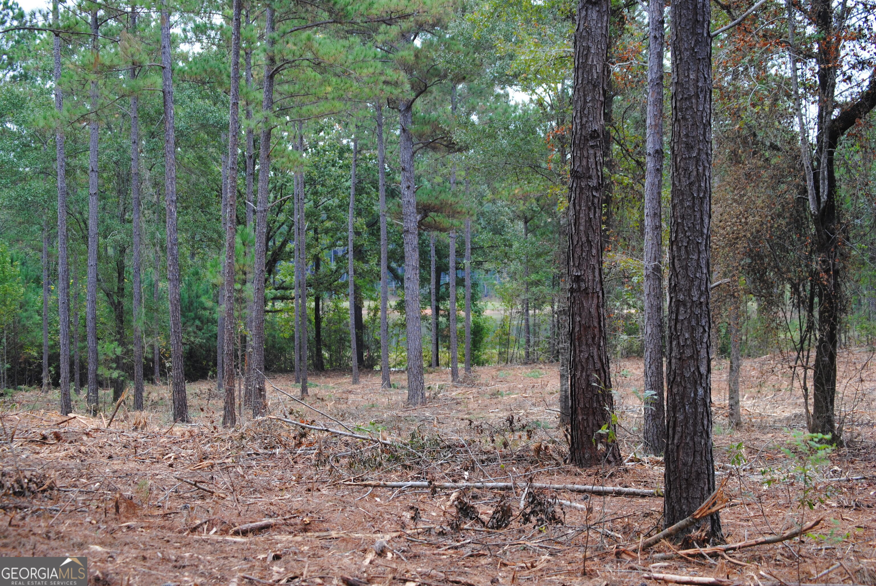137 W Drummond West Point GA 31833