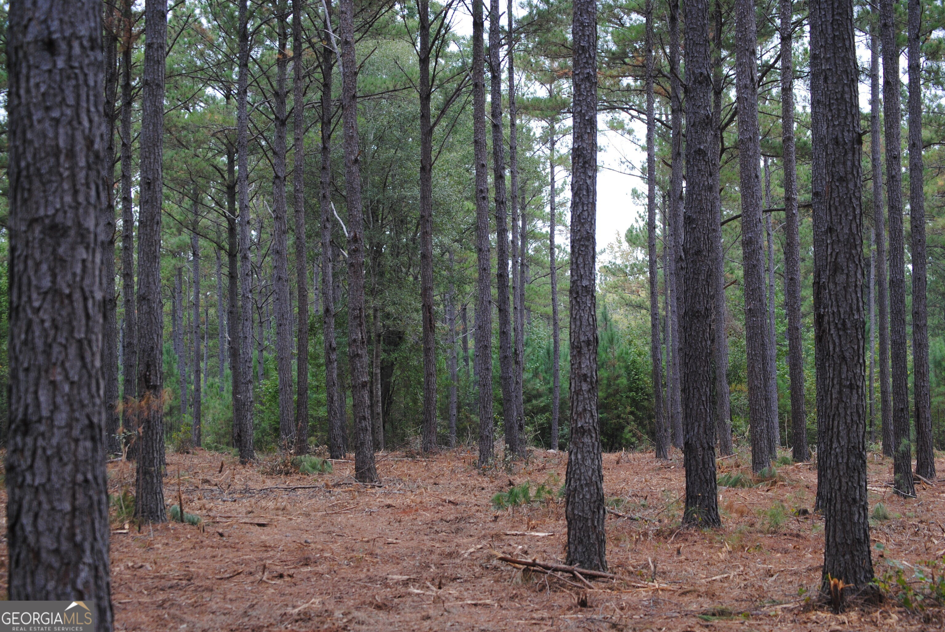 137 W Drummond West Point GA 31833