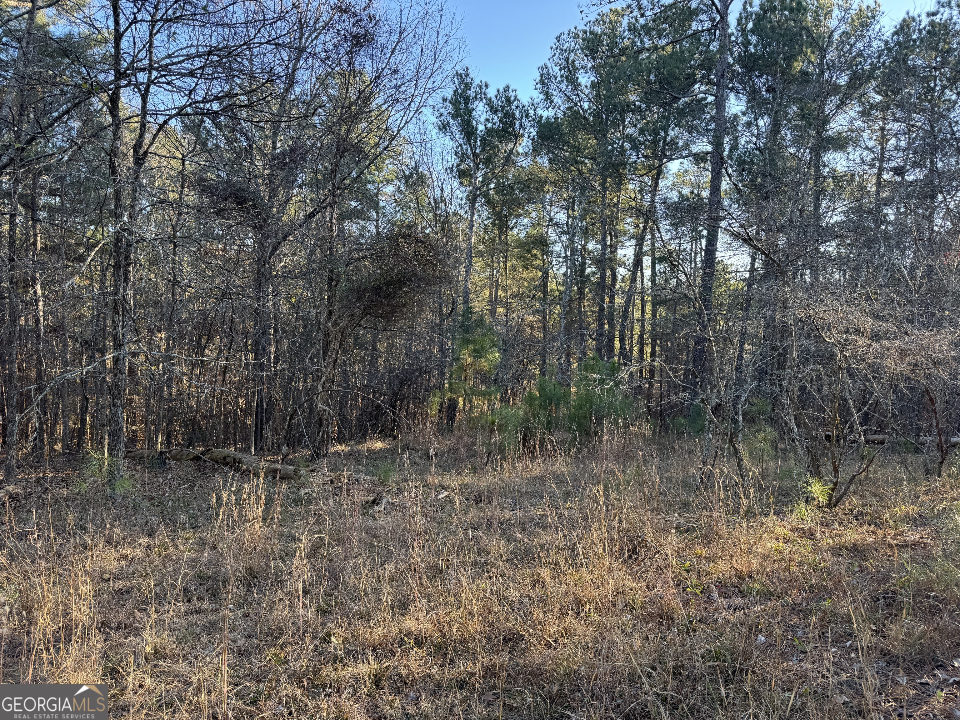 1421 Pullman Lane Greensboro GA 30642