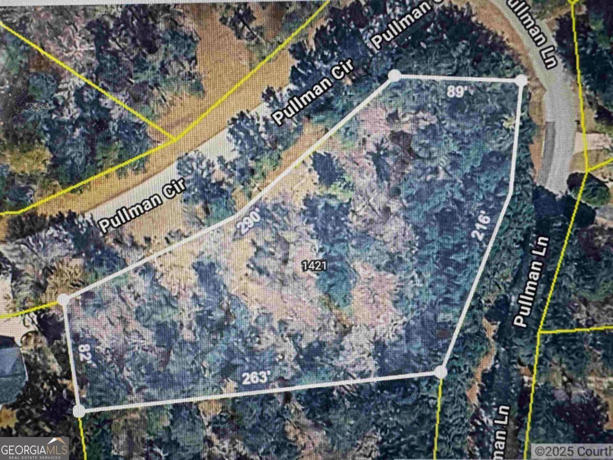 1421 Pullman Lane Greensboro GA 30642
