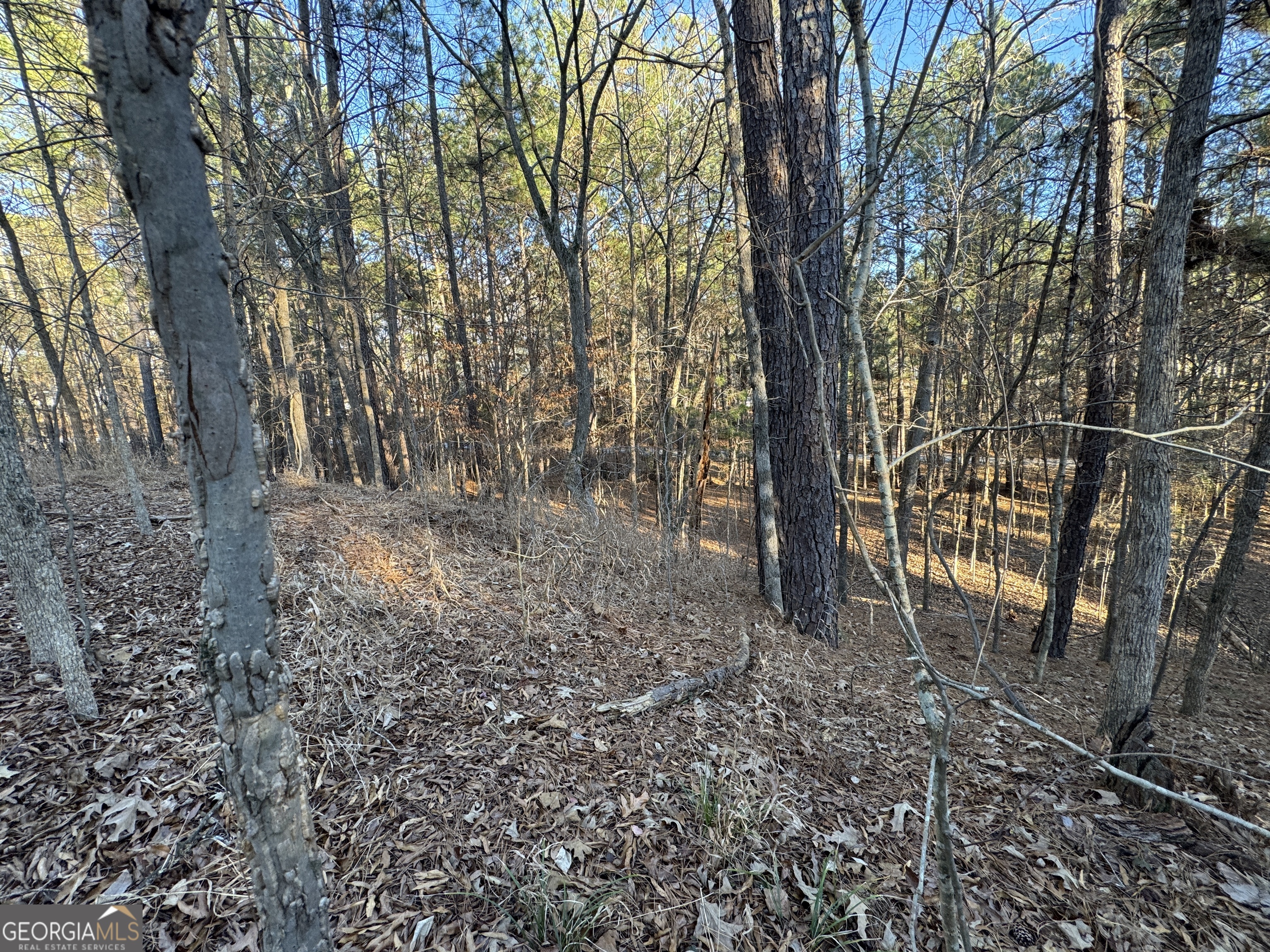 1421 Pullman Lane Greensboro GA 30642