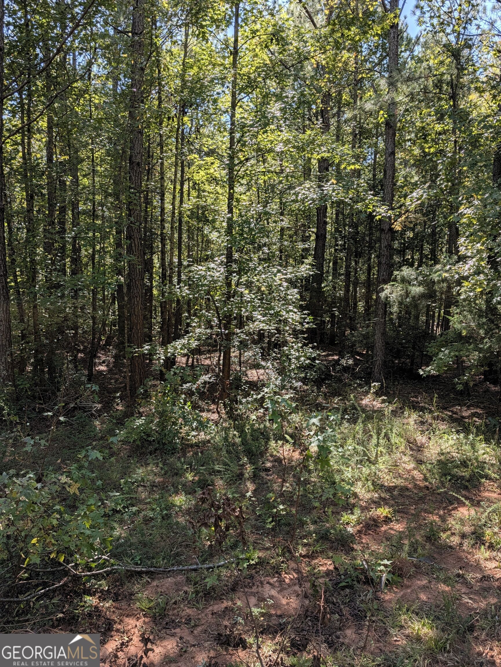 0 Chappell Mill Chappell Mill Road Milner GA 30257