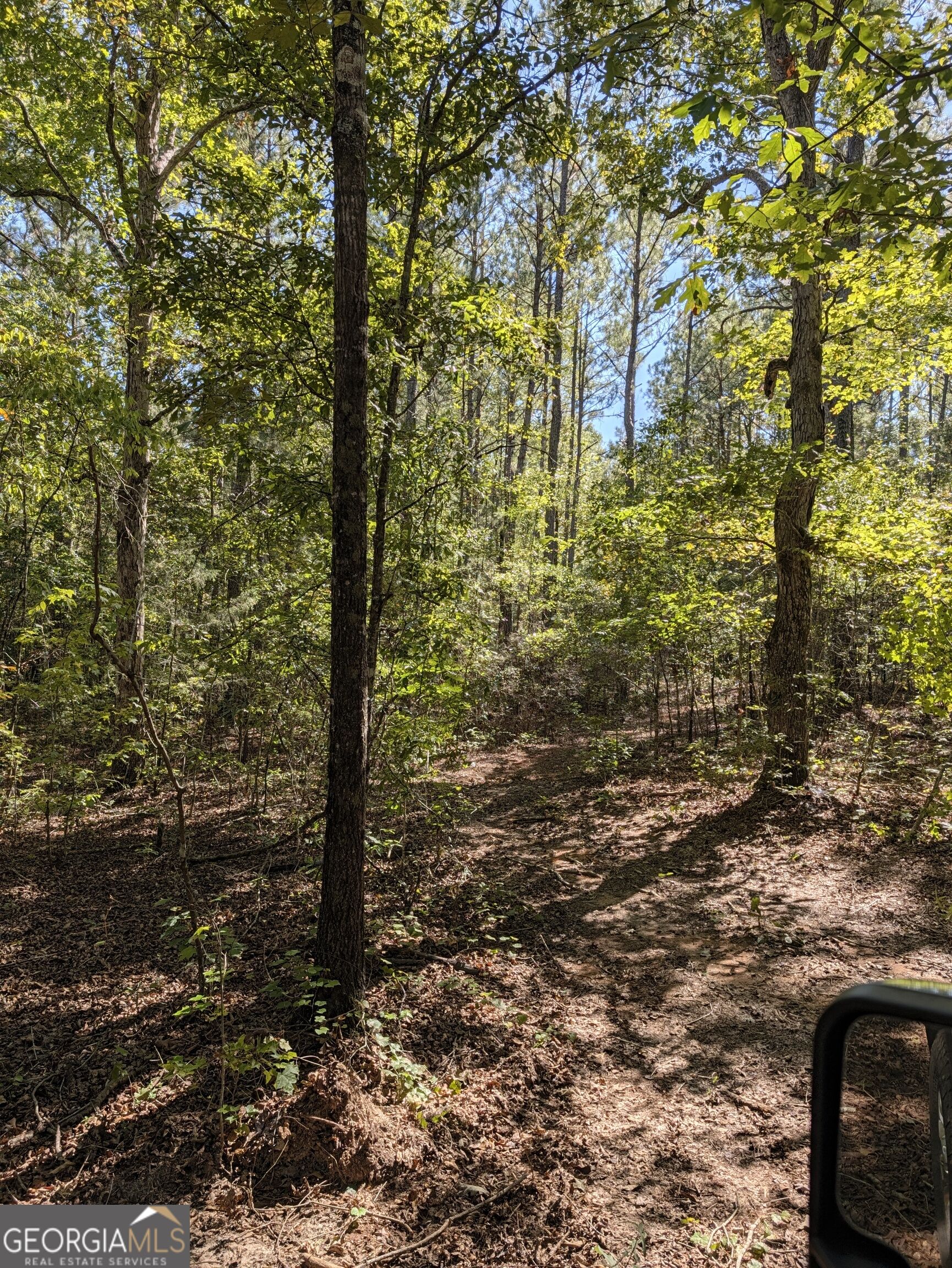 0 Chappell Mill Chappell Mill Road Milner GA 30257