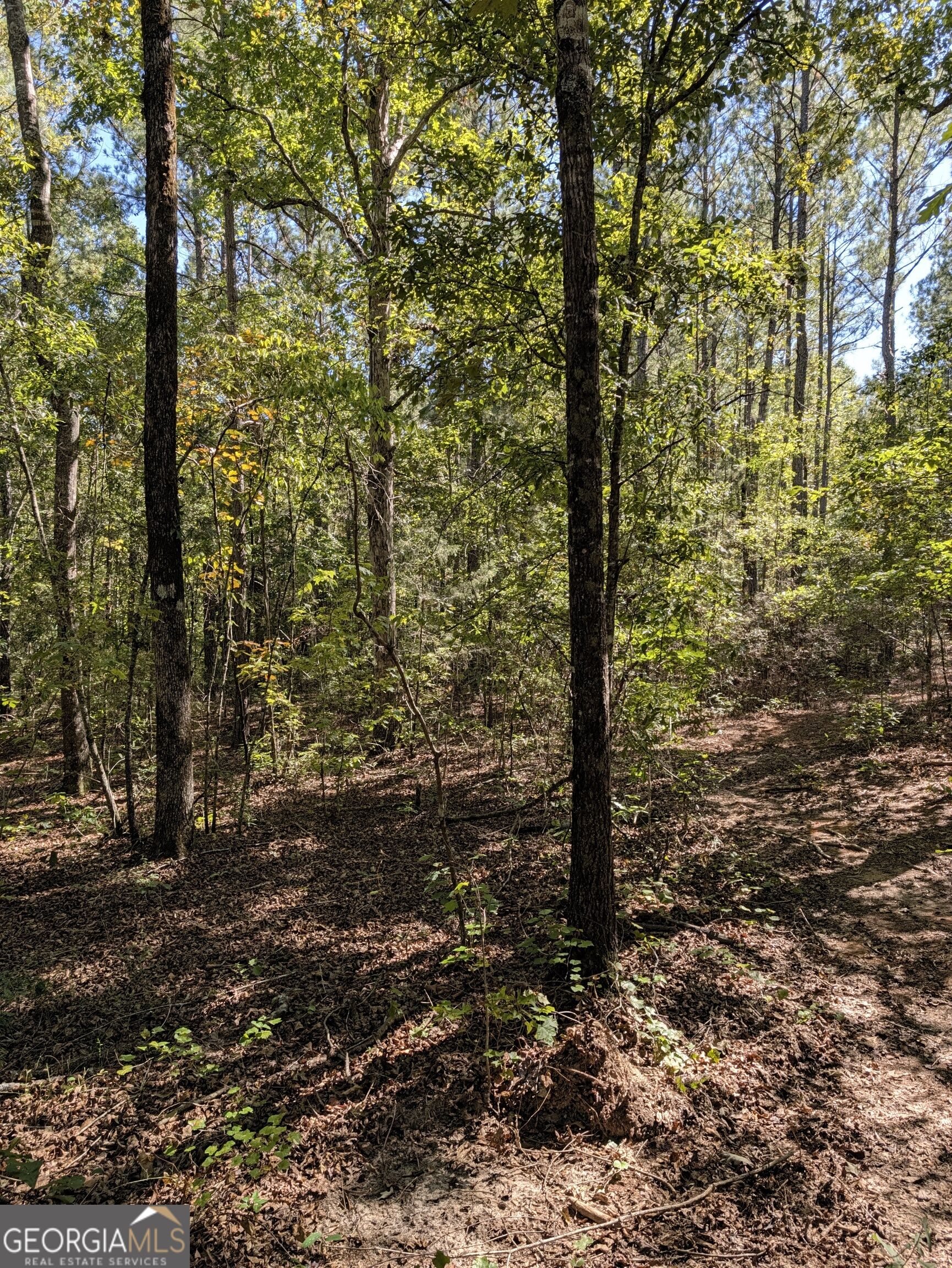 0 Chappell Mill Chappell Mill Road Milner GA 30257
