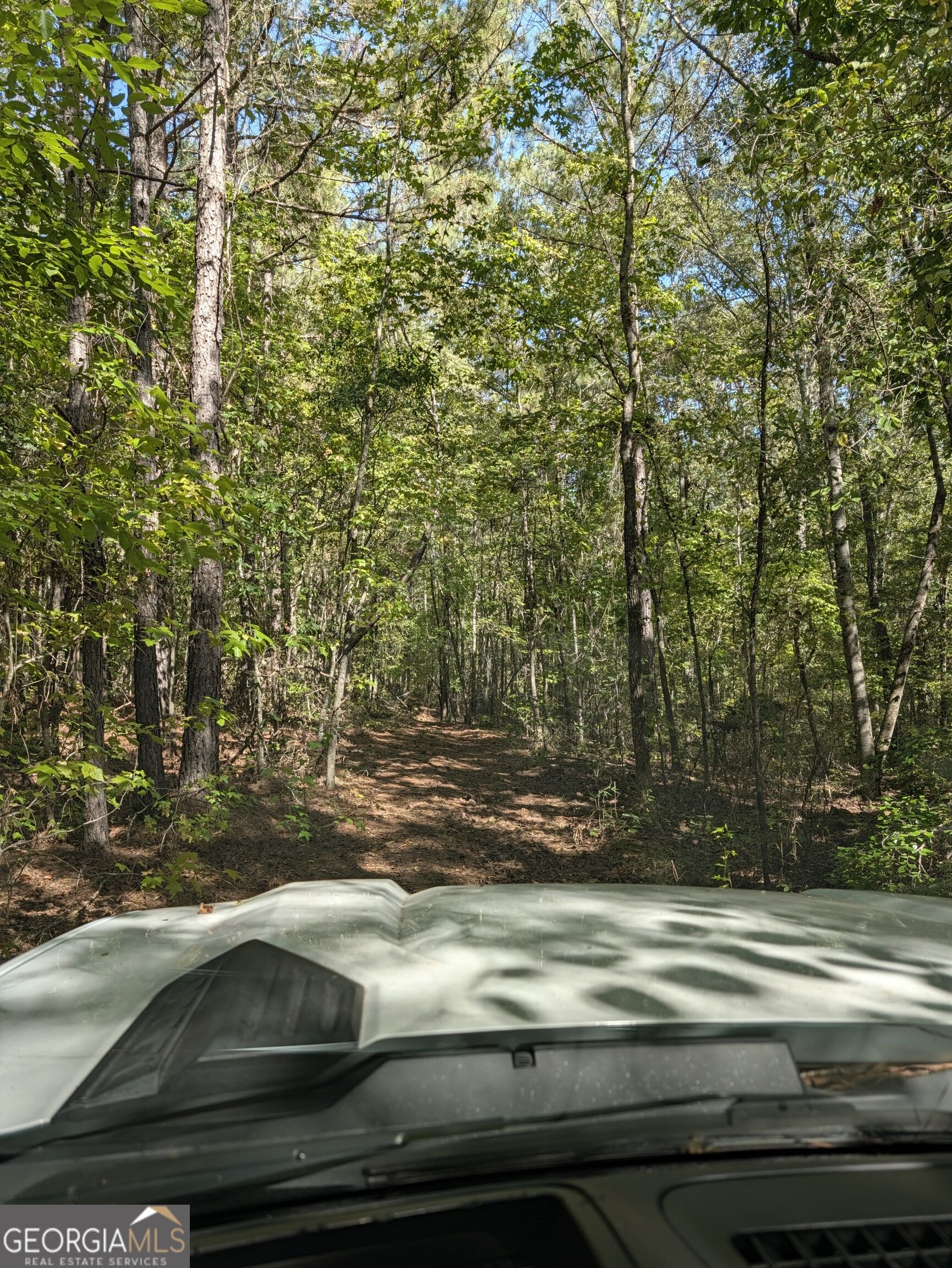 0 Chappell Mill Chappell Mill Road Milner GA 30257
