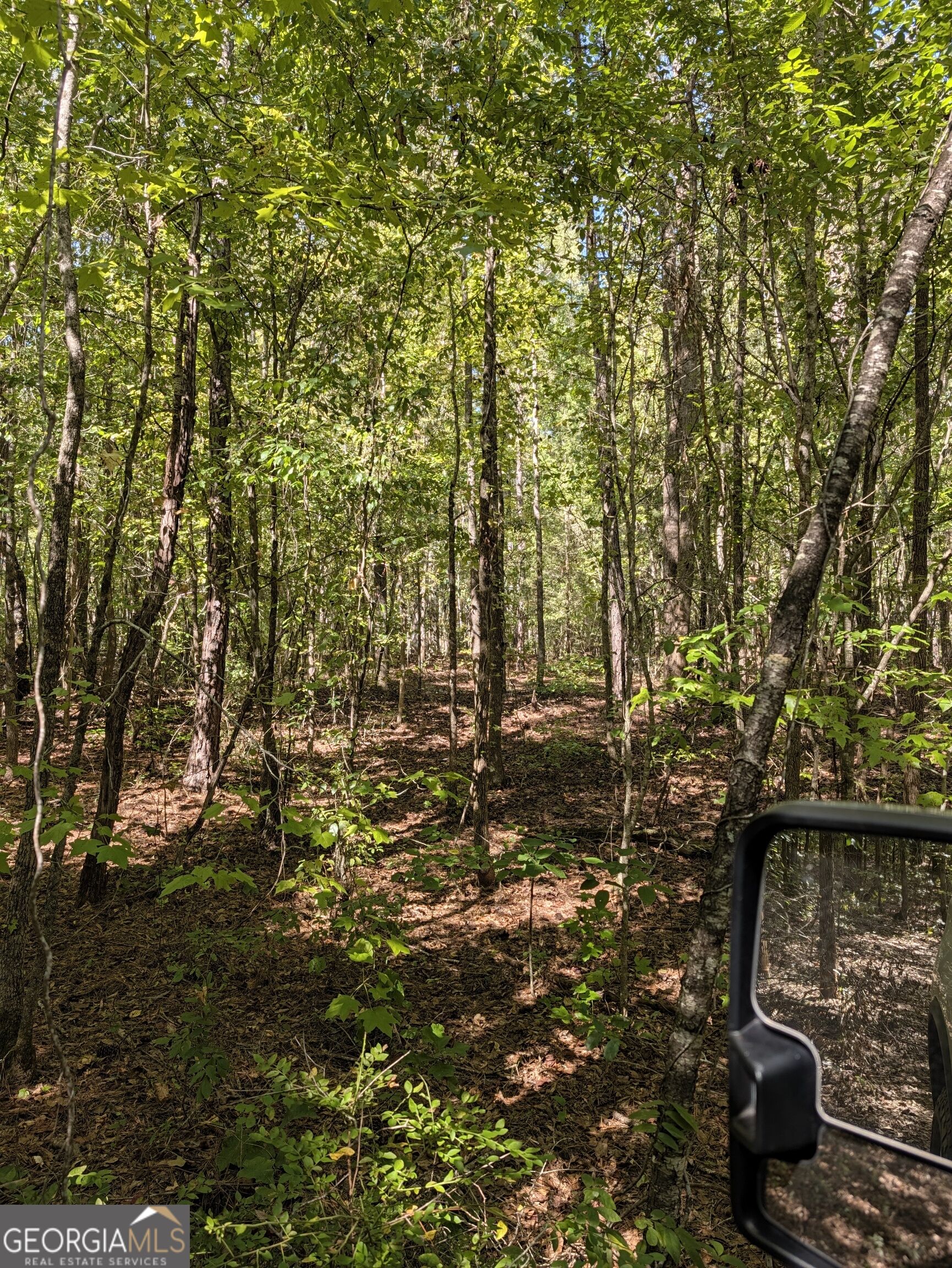 0 Chappell Mill Chappell Mill Road Milner GA 30257
