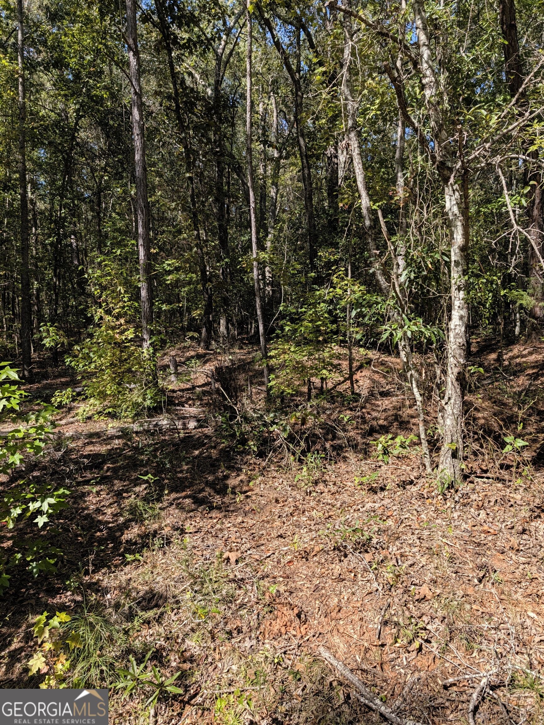 0 Chappell Mill Chappell Mill Road Milner GA 30257