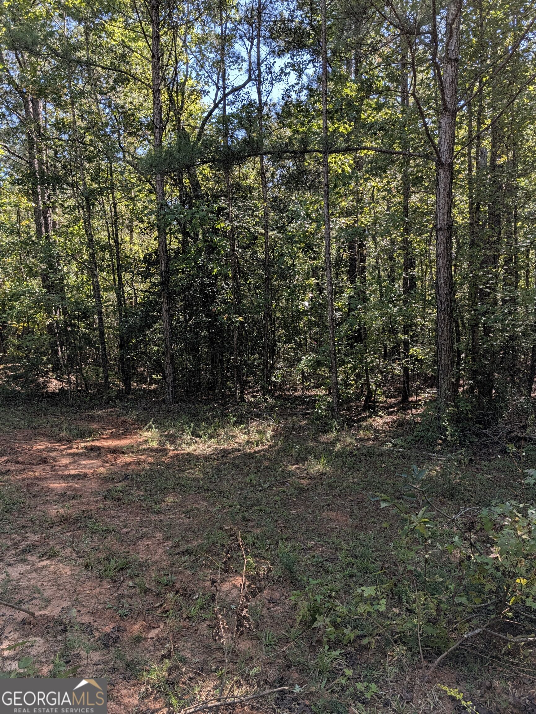 0 Chappell Mill Chappell Mill Road Milner GA 30257