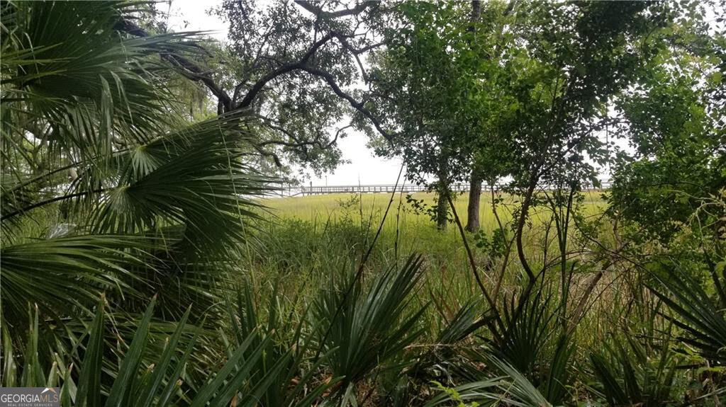 Lot 1 Belvedere Drive Townsend GA 31331