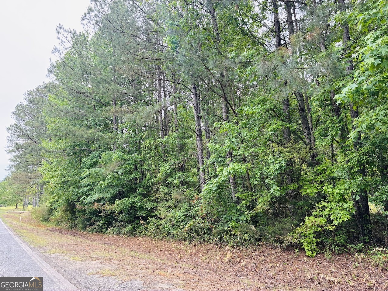 0 Lee Lane Greenville GA 30222