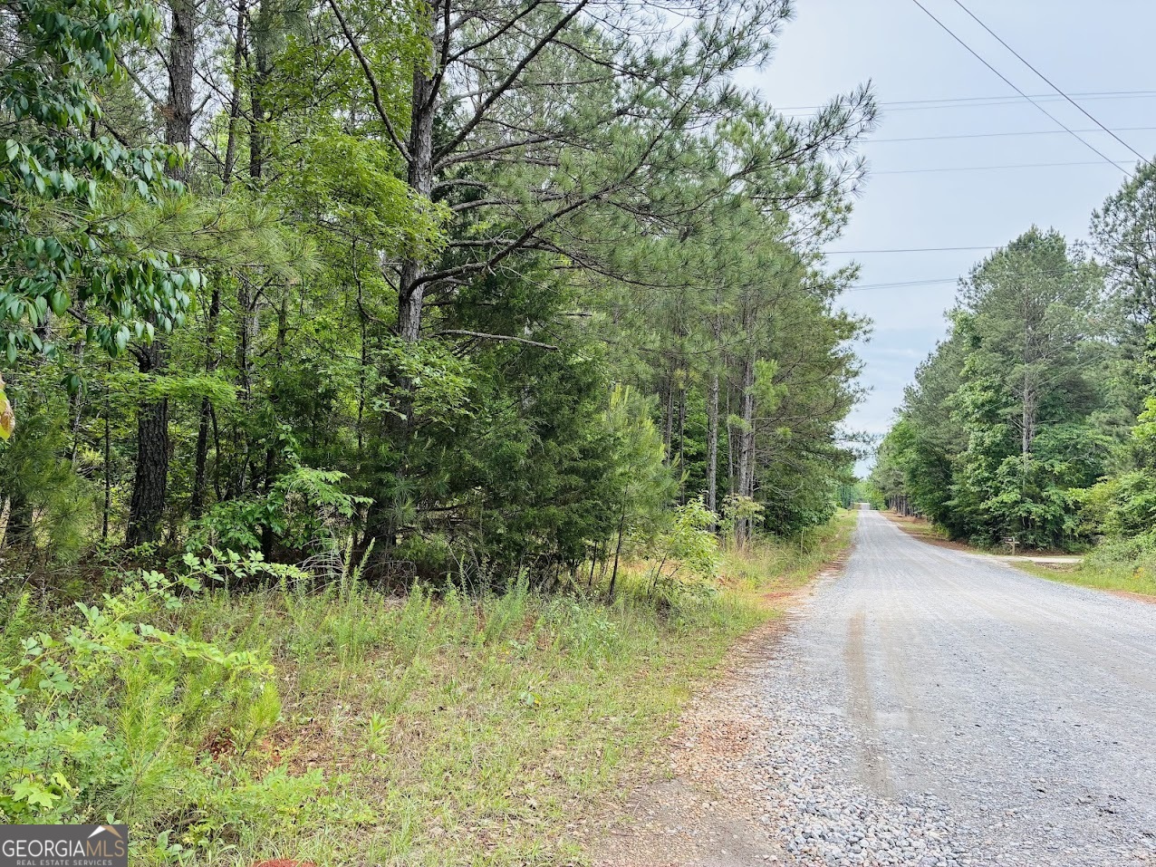 0 Lee Lane Greenville GA 30222