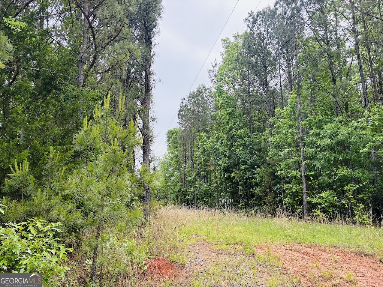 0 Lee Lane Greenville GA 30222