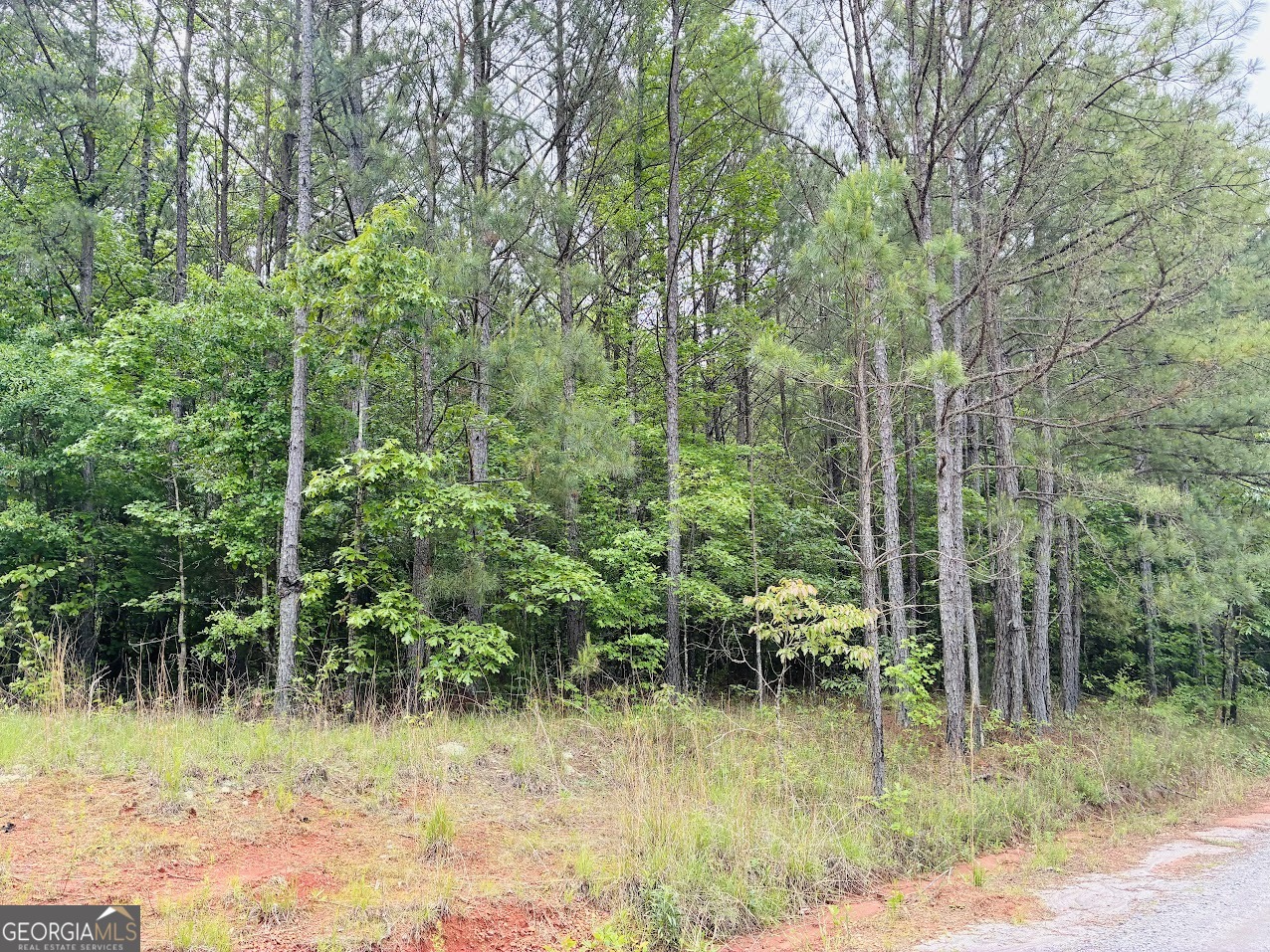 0 Lee Lane Greenville GA 30222