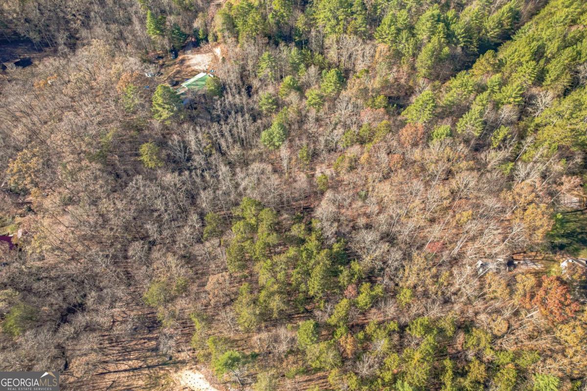 0 Pine Woods Drive Blairsville GA 30512