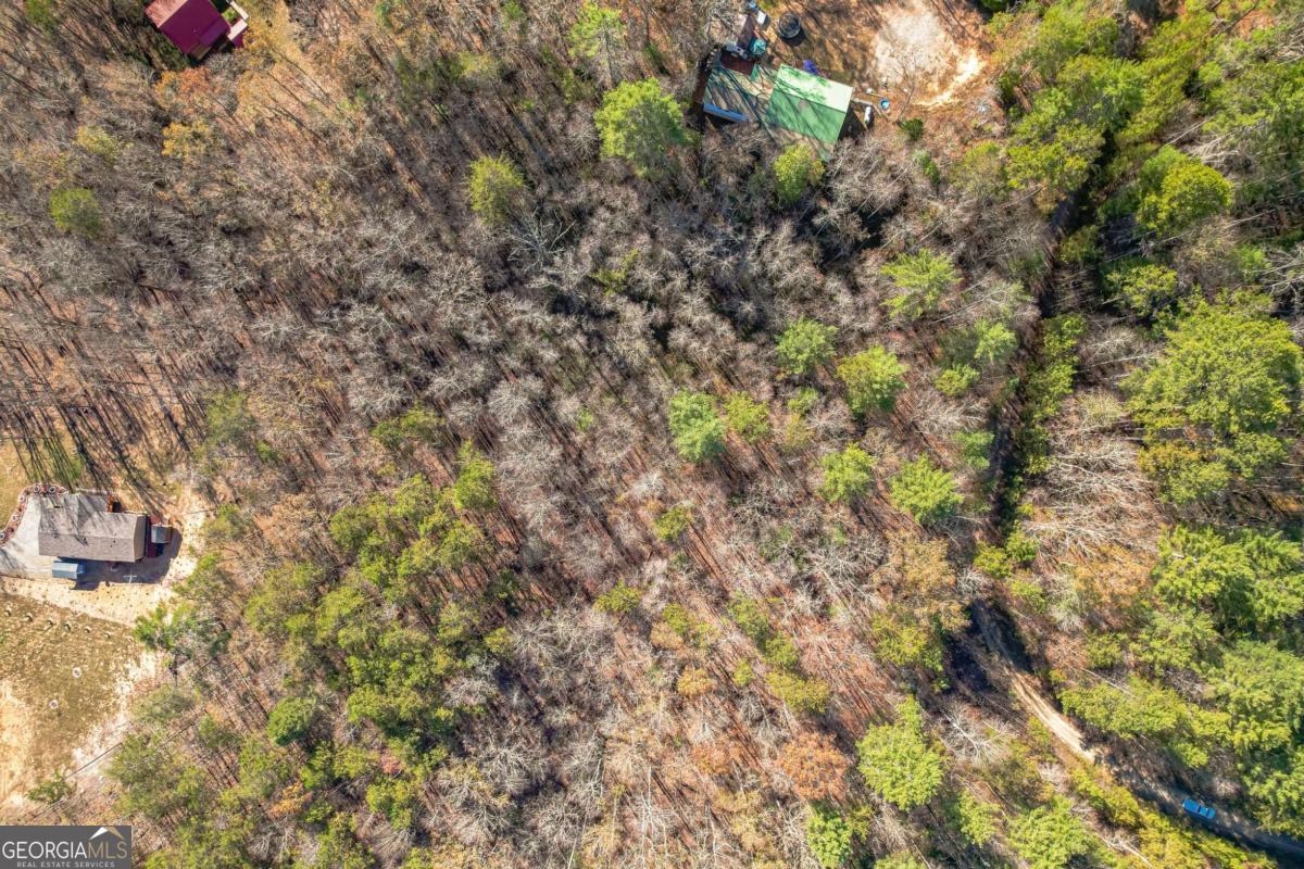 0 Pine Woods Drive Blairsville GA 30512