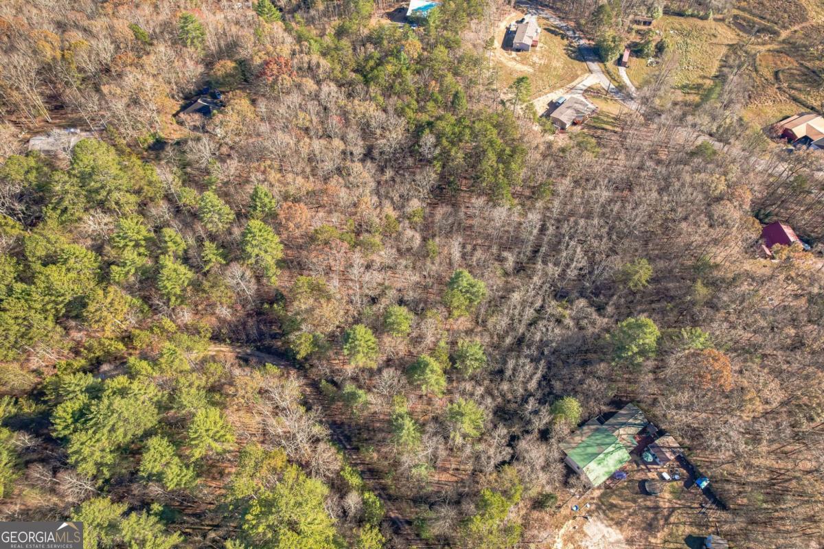 0 Pine Woods Drive Blairsville GA 30512