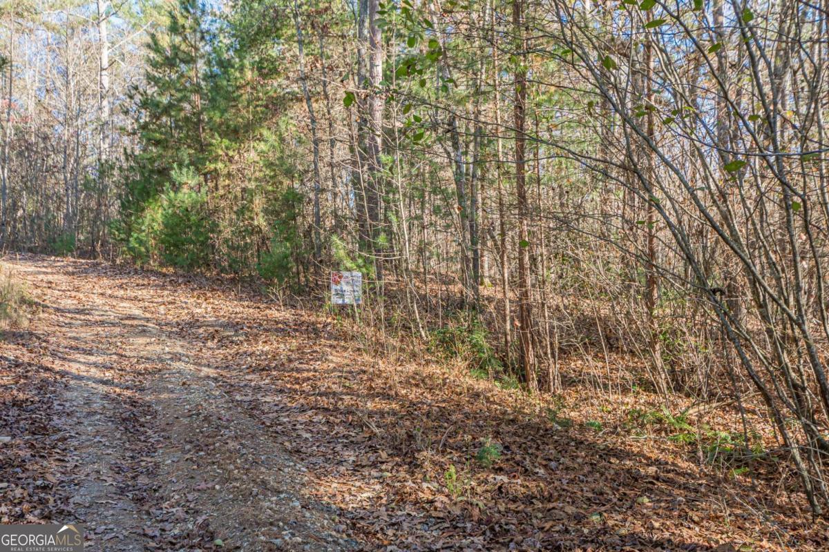 0 Pine Woods Drive Blairsville GA 30512