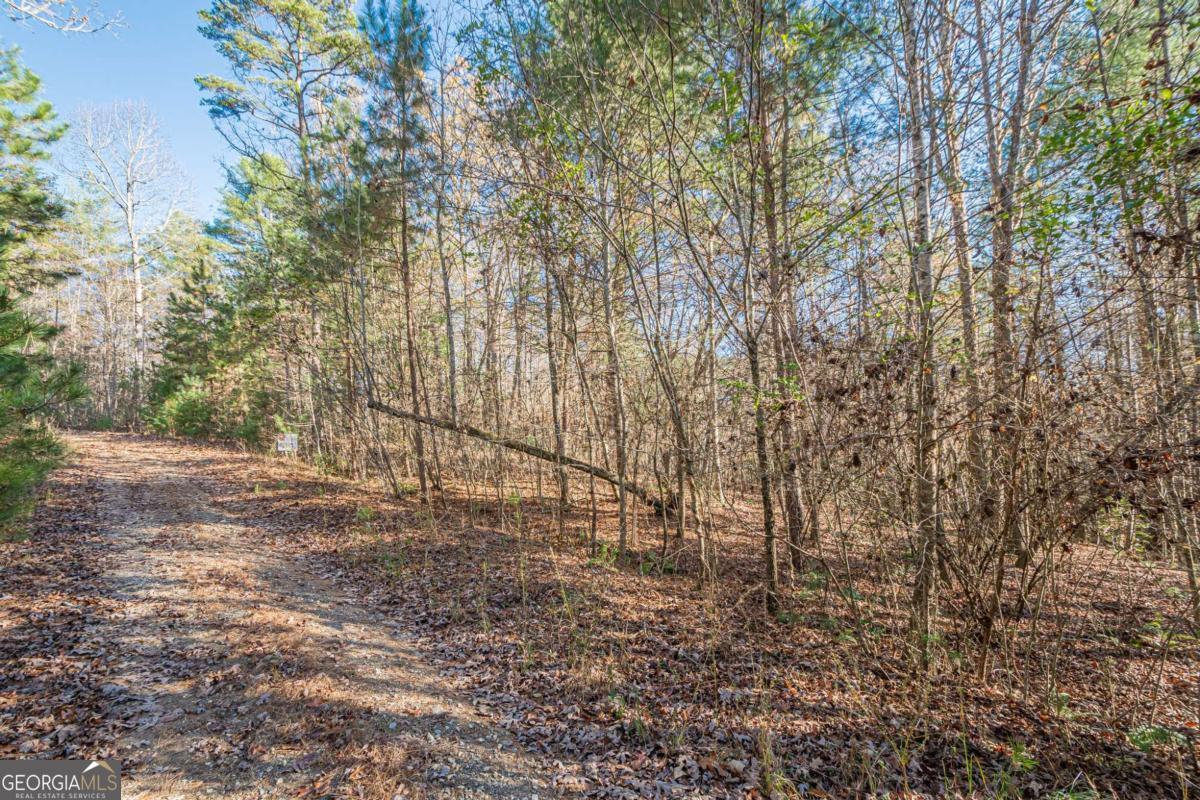 0 Pine Woods Drive Blairsville GA 30512